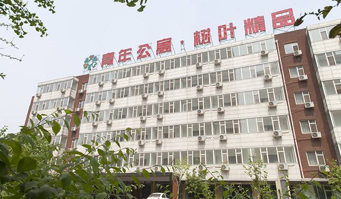 北京大興亦莊青年樹(shù)葉酒店